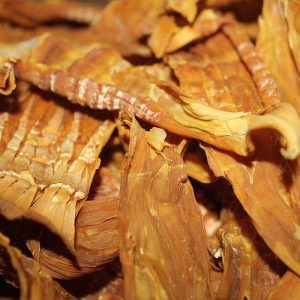 Măng lục trúc (sấy khô)